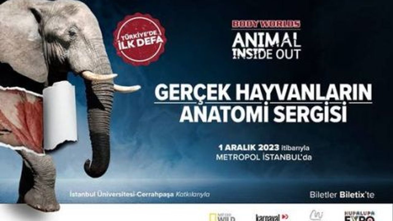 'BODY WORLDS ANIMAL INSIDE OUT' SERGİSİ İSTANBUL’DA!