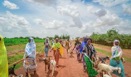 İyilik Derneği, Afrika’nın derdine süt keçileri ile koşuyor