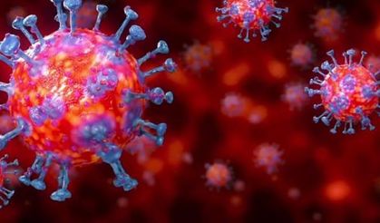 Koronavirüs hakkında ne kadar bilgiliyiz?